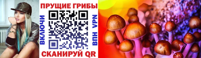 Псилоцибиновые грибы прущие грибы  Подольск 