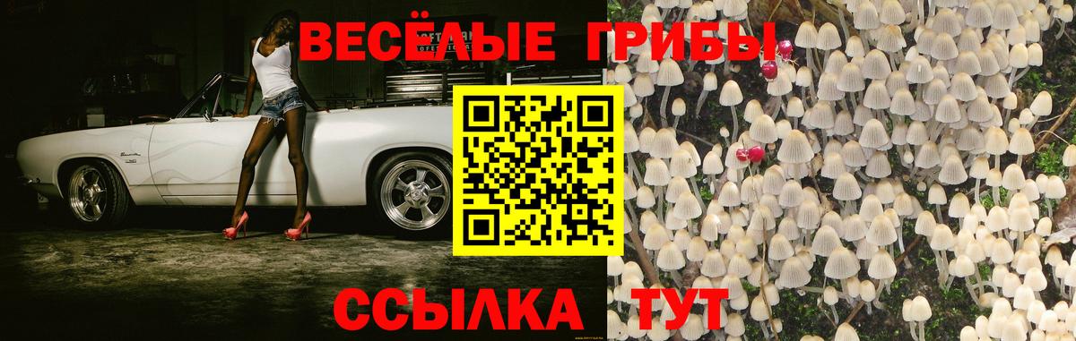наркота  Псилоцибиновые грибы Psilocybine cubensis  Вход с VPN  Псилоцибиновые грибы мицелий  Подольск 